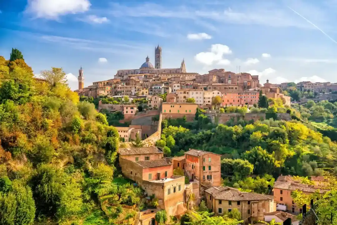 Tuscany Tour view Siena Little town sunny Forest hill